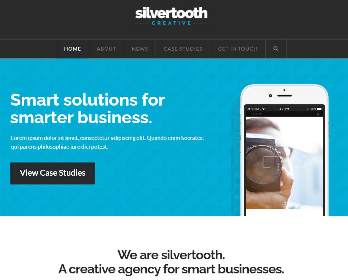 Business Agency website design example at vpmcorp.com